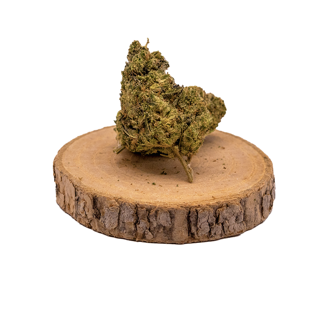 Fleur CBD Gelato Indoor – Saveur Gourmande & Qualité Premium