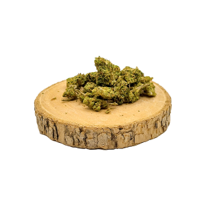 Mango Small Bud Indoor | Fleur prémium | Greender CBD