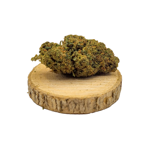 Watermelon CBDX Indoor | Fleur CBD Premium | Greender CBD